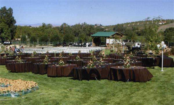 מלון טמפלטון The Eden House Vineyard מראה חיצוני תמונה