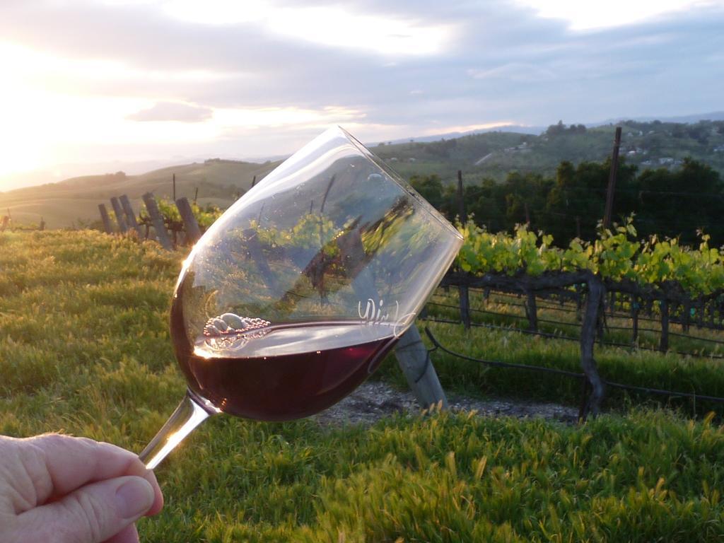 מלון טמפלטון The Eden House Vineyard מראה חיצוני תמונה