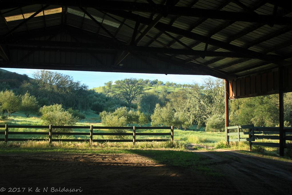 מלון טמפלטון The Eden House Vineyard מראה חיצוני תמונה