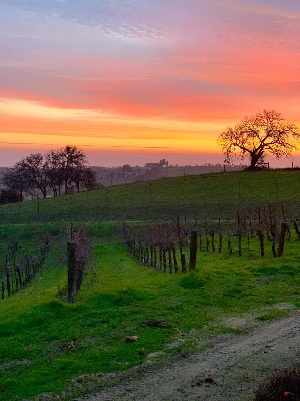 מלון טמפלטון The Eden House Vineyard מראה חיצוני תמונה