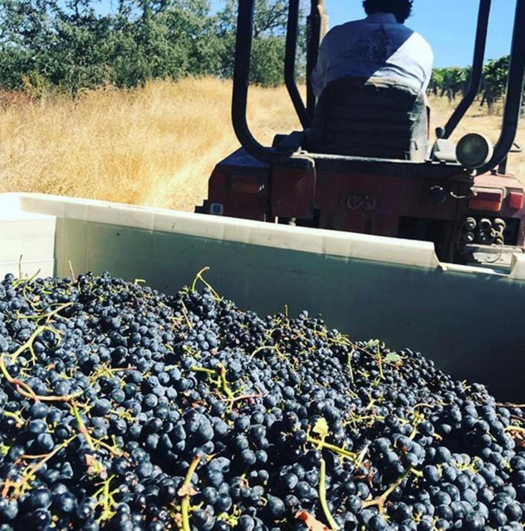 מלון טמפלטון The Eden House Vineyard מראה חיצוני תמונה