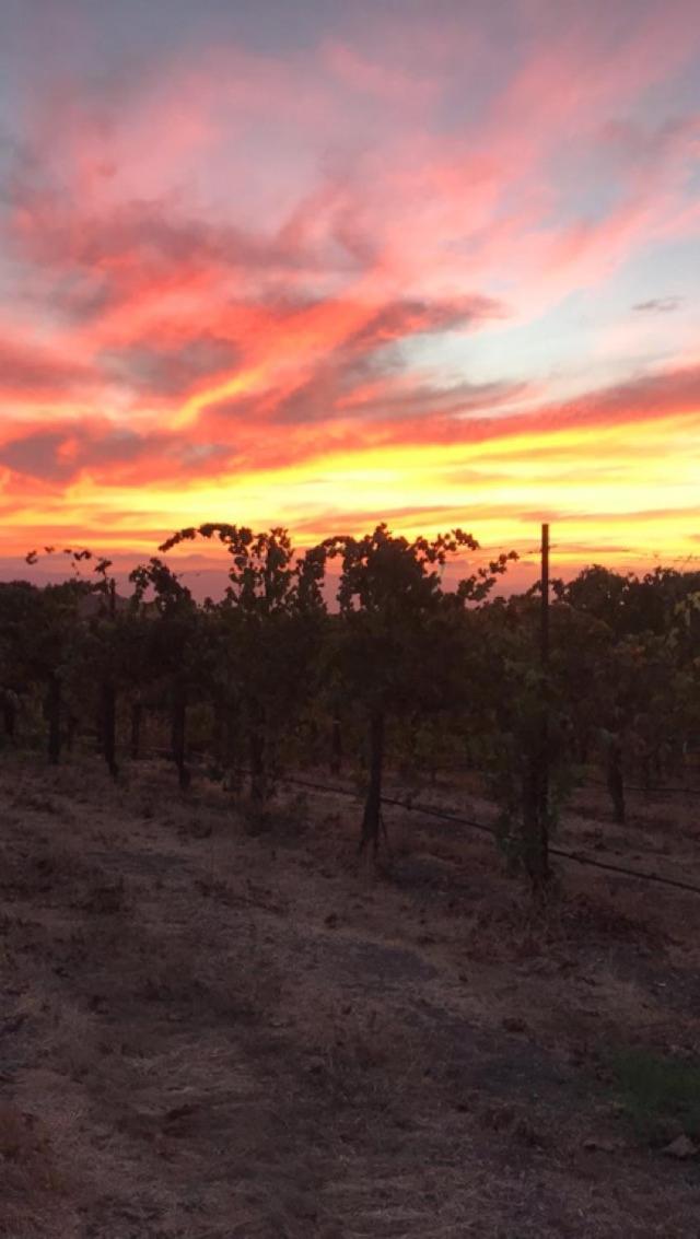מלון טמפלטון The Eden House Vineyard מראה חיצוני תמונה