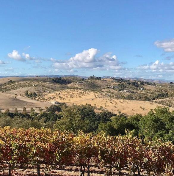 מלון טמפלטון The Eden House Vineyard מראה חיצוני תמונה