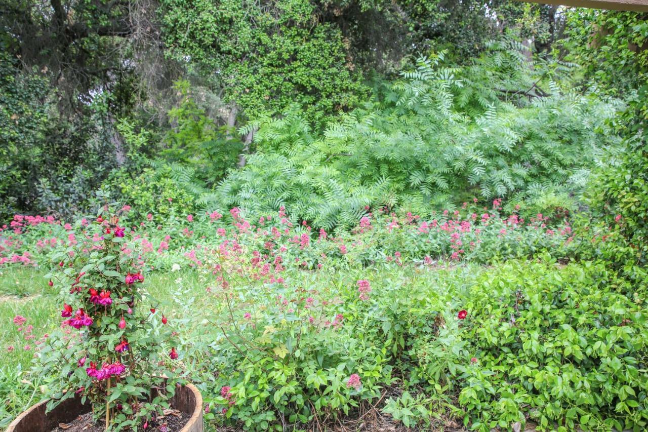 מלון טמפלטון The Eden House Vineyard מראה חיצוני תמונה