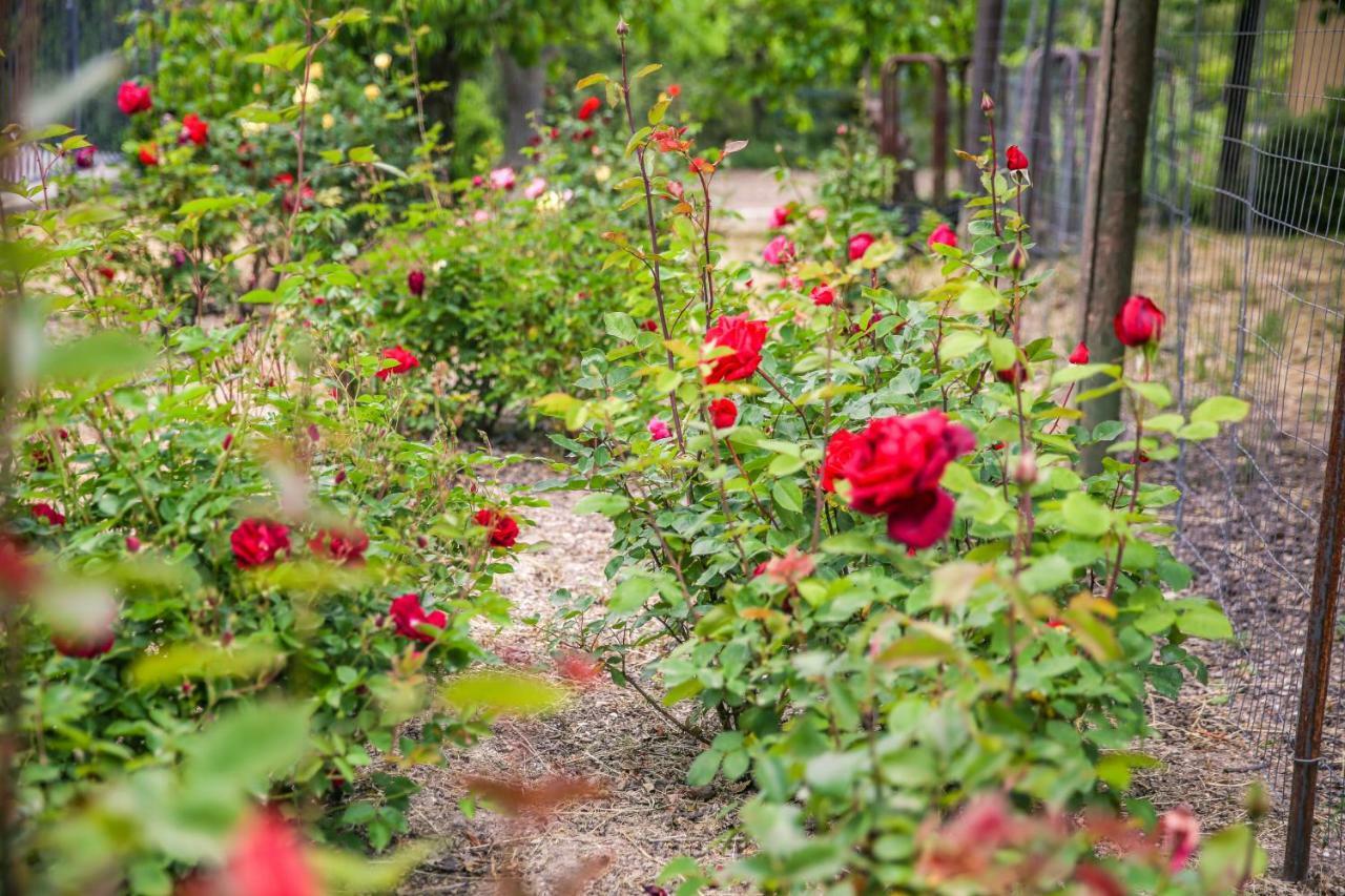 מלון טמפלטון The Eden House Vineyard מראה חיצוני תמונה